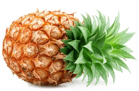 Periyar Valley Canal view